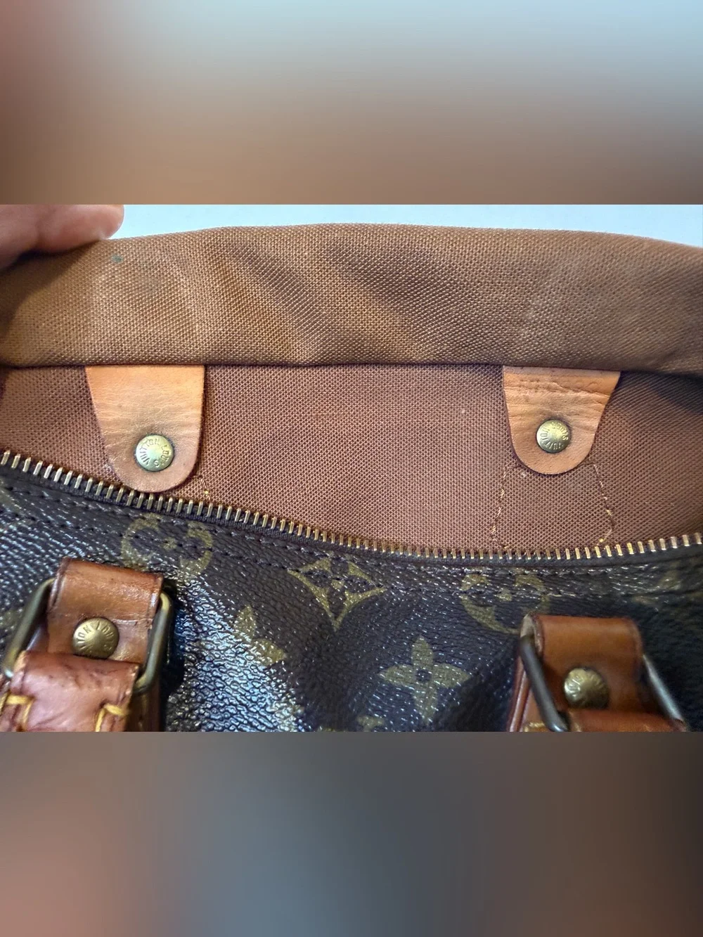 LV SPEEDY 25 (Louis Vuitton)